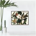 Picture of Black Billed Cuckoo Bird _GroupedProduct_Rectangle_Landscape_Canvas_Framed_