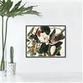 Picture of Black Billed Cuckoo Bird _GroupedProduct_Rectangle_Landscape_Canvas_Framed_