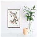 Picture of Vintage Tree Sparrow _GroupedProduct_Rectangle_Portrait_Canvas_Framed_
