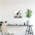 Picture of Black Skimmer From Birds of America (1827) _GroupedProduct_Square_Canvas_Framed_