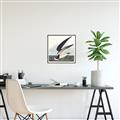 Picture of Black Skimmer From Birds of America (1827) _GroupedProduct_Square_Canvas_Framed_