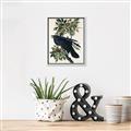 Picture of Raven From Birds of America (1827) _GroupedProduct_Rectangle_Portrait_Canvas_Framed_