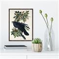 Picture of Raven From Birds of America (1827) _GroupedProduct_Rectangle_Portrait_Canvas_Framed_