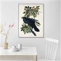 Picture of Raven From Birds of America (1827) _GroupedProduct_Rectangle_Portrait_Canvas_Framed_