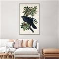 Picture of Raven From Birds of America (1827) _GroupedProduct_Rectangle_Portrait_Canvas_Framed_