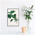 Picture of Nostalgic Green Lilac Leaves _GroupedProduct_Rectangle_Portrait_Canvas_Framed_