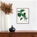 Picture of Nostalgic Green Lilac Leaves _GroupedProduct_Rectangle_Portrait_Canvas_Framed_