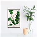 Picture of Nostalgic Green Murgrona Leaves _GroupedProduct_Rectangle_Portrait_Canvas_Framed_