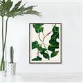 Picture of Nostalgic Green Murgrona Leaves _GroupedProduct_Rectangle_Portrait_Canvas_Framed_