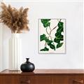 Picture of Nostalgic Green Murgrona Leaves _GroupedProduct_Rectangle_Portrait_Canvas_Framed_