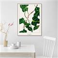 Picture of Nostalgic Green Murgrona Leaves _GroupedProduct_Rectangle_Portrait_Canvas_Framed_