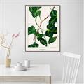 Picture of Nostalgic Green Murgrona Leaves _GroupedProduct_Rectangle_Portrait_Canvas_Framed_