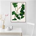 Picture of Nostalgic Green Murgrona Leaves _GroupedProduct_Rectangle_Portrait_Canvas_Framed_