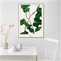 Picture of Nostalgic Green Murgrona Leaves _GroupedProduct_Rectangle_Portrait_Canvas_Framed_