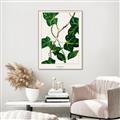 Picture of Nostalgic Green Murgrona Leaves _GroupedProduct_Rectangle_Portrait_Canvas_Framed_