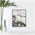 Picture of Romantic Blur Peony V _GroupedProduct_Rectangle_Portrait_Photography _GroupedProduct_Rectangle_Portrait_Canvas_Framed_