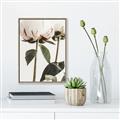 Picture of Romantic Blur Peony IV _GroupedProduct_Rectangle_Portrait_Photography _GroupedProduct_Rectangle_Portrait_Canvas_Framed_