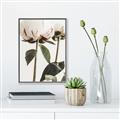 Picture of Romantic Blur Peony IV _GroupedProduct_Rectangle_Portrait_Photography _GroupedProduct_Rectangle_Portrait_Canvas_Framed_