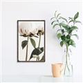 Picture of Romantic Blur Peony IV _GroupedProduct_Rectangle_Portrait_Photography _GroupedProduct_Rectangle_Portrait_Canvas_Framed_