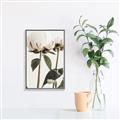Picture of Romantic Blur Peony IV _GroupedProduct_Rectangle_Portrait_Photography _GroupedProduct_Rectangle_Portrait_Canvas_Framed_