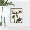 Picture of Romantic Blur Peony IV _GroupedProduct_Rectangle_Portrait_Photography _GroupedProduct_Rectangle_Portrait_Canvas_Framed_