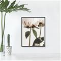 Picture of Romantic Blur Peony IV _GroupedProduct_Rectangle_Portrait_Photography _GroupedProduct_Rectangle_Portrait_Canvas_Framed_