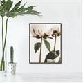 Picture of Romantic Blur Peony IV _GroupedProduct_Rectangle_Portrait_Photography _GroupedProduct_Rectangle_Portrait_Canvas_Framed_