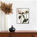 Picture of Romantic Blur Peony IV _GroupedProduct_Rectangle_Portrait_Photography _GroupedProduct_Rectangle_Portrait_Canvas_Framed_