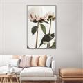 Picture of Romantic Blur Peony IV _GroupedProduct_Rectangle_Portrait_Photography _GroupedProduct_Rectangle_Portrait_Canvas_Framed_