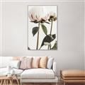 Picture of Romantic Blur Peony IV _GroupedProduct_Rectangle_Portrait_Photography _GroupedProduct_Rectangle_Portrait_Canvas_Framed_