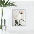 Picture of Romantic Blur Peony III _GroupedProduct_Rectangle_Portrait_Photography _GroupedProduct_Rectangle_Portrait_Canvas_Framed_