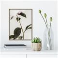 Picture of Romantic Blur Peony II _GroupedProduct_Rectangle_Portrait_Photography _GroupedProduct_Rectangle_Portrait_Canvas_Framed_