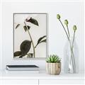 Picture of Romantic Blur Peony II _GroupedProduct_Rectangle_Portrait_Photography _GroupedProduct_Rectangle_Portrait_Canvas_Framed_