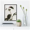 Picture of Romantic Blur Peony II _GroupedProduct_Rectangle_Portrait_Photography _GroupedProduct_Rectangle_Portrait_Canvas_Framed_