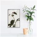 Picture of Romantic Blur Peony II _GroupedProduct_Rectangle_Portrait_Photography _GroupedProduct_Rectangle_Portrait_Canvas_Framed_