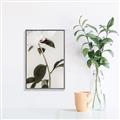 Picture of Romantic Blur Peony II _GroupedProduct_Rectangle_Portrait_Photography _GroupedProduct_Rectangle_Portrait_Canvas_Framed_