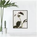 Picture of Romantic Blur Peony II _GroupedProduct_Rectangle_Portrait_Photography _GroupedProduct_Rectangle_Portrait_Canvas_Framed_