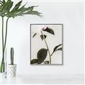 Picture of Romantic Blur Peony II _GroupedProduct_Rectangle_Portrait_Photography _GroupedProduct_Rectangle_Portrait_Canvas_Framed_
