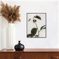 Picture of Romantic Blur Peony II _GroupedProduct_Rectangle_Portrait_Photography _GroupedProduct_Rectangle_Portrait_Canvas_Framed_