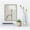 Picture of Romantic Blur Peony I _GroupedProduct_Rectangle_Portrait_Photography _GroupedProduct_Rectangle_Portrait_Canvas_Framed_