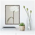 Picture of Romantic Blur Peony I _GroupedProduct_Rectangle_Portrait_Photography _GroupedProduct_Rectangle_Portrait_Canvas_Framed_