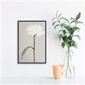 Picture of Romantic Blur Peony I _GroupedProduct_Rectangle_Portrait_Photography _GroupedProduct_Rectangle_Portrait_Canvas_Framed_