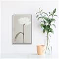 Picture of Romantic Blur Peony I _GroupedProduct_Rectangle_Portrait_Photography _GroupedProduct_Rectangle_Portrait_Canvas_Framed_
