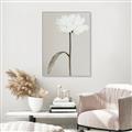 Picture of Romantic Blur Peony I _GroupedProduct_Rectangle_Portrait_Photography _GroupedProduct_Rectangle_Portrait_Canvas_Framed_