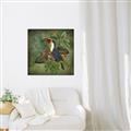 Picture of Tropical Paradise Toucan Bird _GroupedProduct_Square_Canvas_Framed_