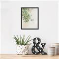Picture of Few Olive Tree Leaves _GroupedProduct_Rectangle_Portrait_Photography _GroupedProduct_Rectangle_Portrait_Canvas_Framed_