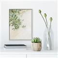 Picture of Few Olive Tree Leaves _GroupedProduct_Rectangle_Portrait_Photography _GroupedProduct_Rectangle_Portrait_Canvas_Framed_