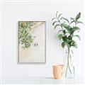Picture of Few Olive Tree Leaves _GroupedProduct_Rectangle_Portrait_Photography _GroupedProduct_Rectangle_Portrait_Canvas_Framed_