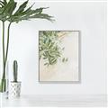 Picture of Few Olive Tree Leaves _GroupedProduct_Rectangle_Portrait_Photography _GroupedProduct_Rectangle_Portrait_Canvas_Framed_