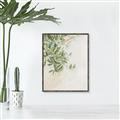 Picture of Few Olive Tree Leaves _GroupedProduct_Rectangle_Portrait_Photography _GroupedProduct_Rectangle_Portrait_Canvas_Framed_
